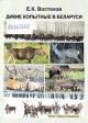Востоков, Е. К. Дикие копытные в Беларуси