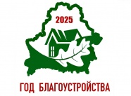 Год благоустройства