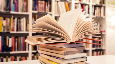 «Мир книжных новинок»: весна 2025