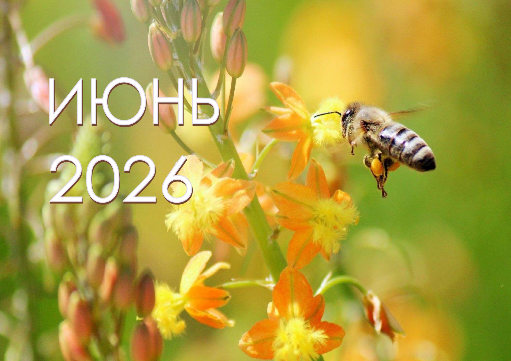 Афіша ЧЭРВЕНЬ 2026