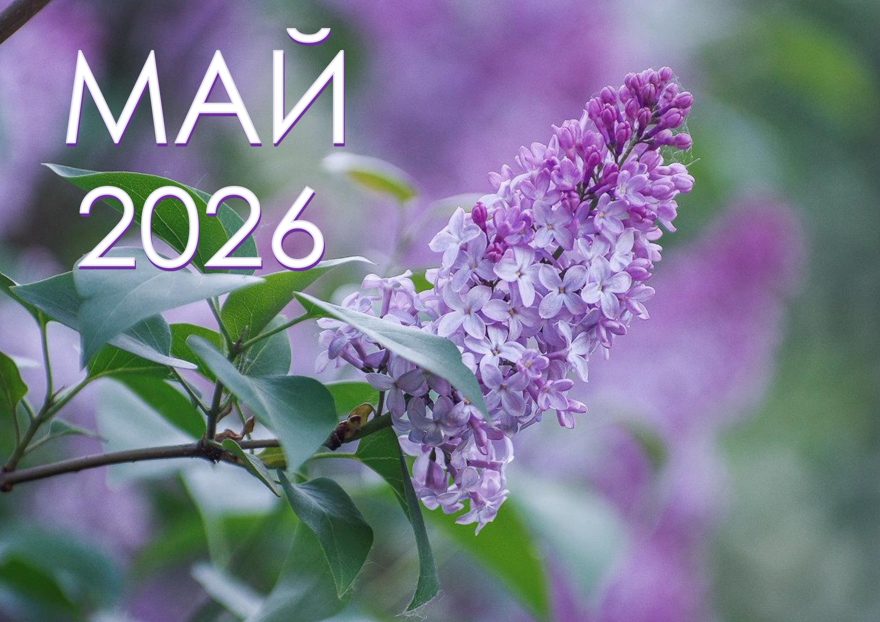 Афіша Май 2026