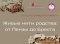 Живые нити родства