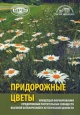 Концепция формирования придорожных растительных сообществ высокой ботанической и эстетической ценности (придорожные цветы)
