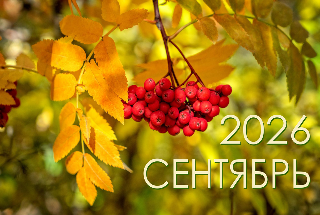 Афіша верасень 2026