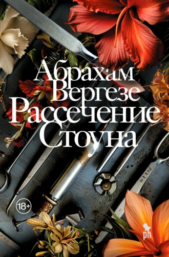 Рассечение-Стоуна.png